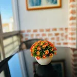 公寓 Almeida's House *