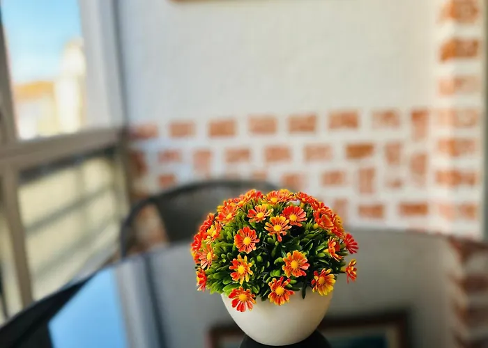 Apartment Almeida's House *